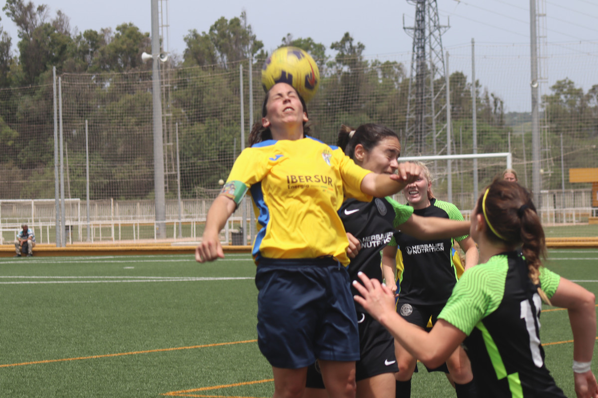 IMG-8551