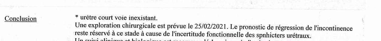 [Image: Num-risation-20210327-2.jpg]