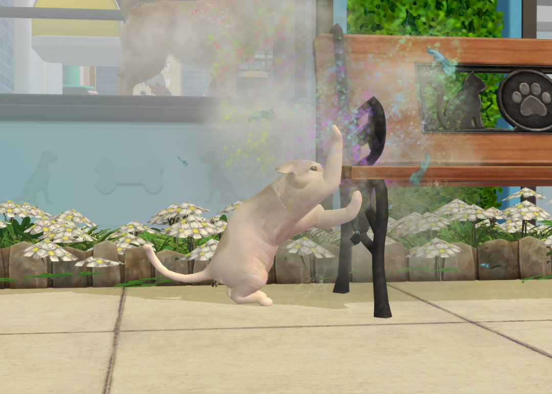 Sims2-EP9-RPC-2023-11-08-20-51-37-41