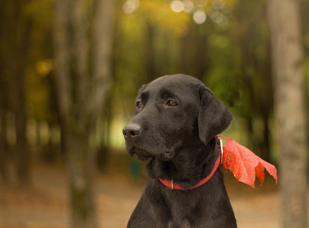 IMG-8a424f112fb5f2dae8ef3128604e15e1-V