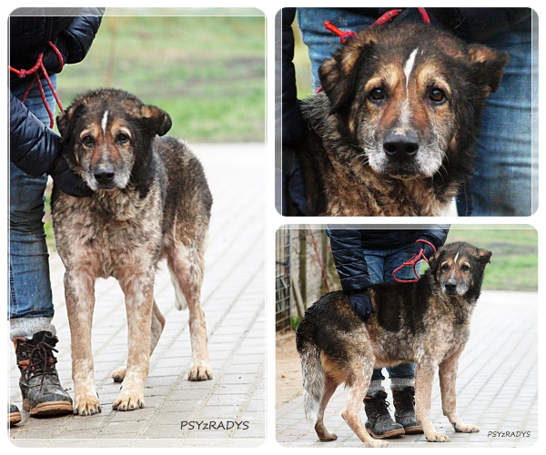 BeFunky-collage (25)