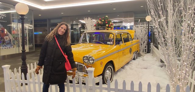 Vista icónica en Dumbo, bicis Central Park, Museo Historia y Little Italy - Nueva York y Cataratas del Niágara 2023 (24)