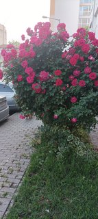 IMG_20230526_192520