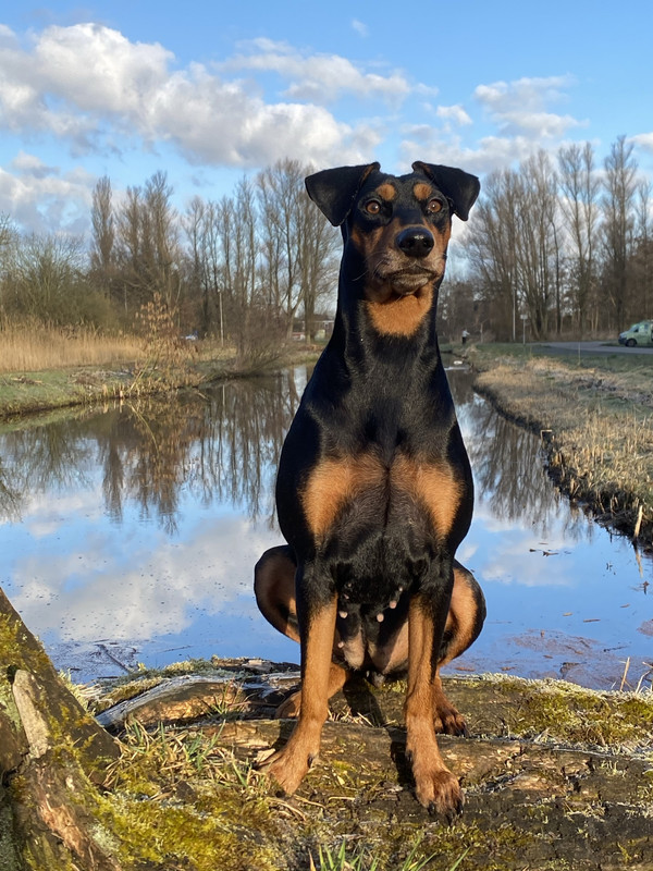 2F5C9138-3669-476E-966B-2F2E8BCB9488