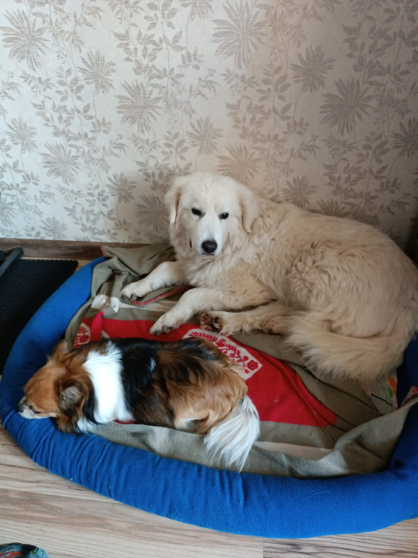 00D4DC63-8EA7-489B-831B-FCD602CAC734