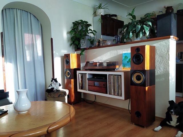 [Image: IMG-20210227-155702.jpg]