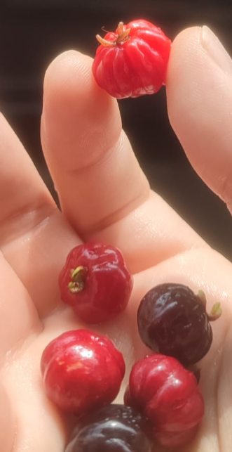222