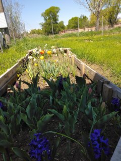 IMG_20220430_120249
