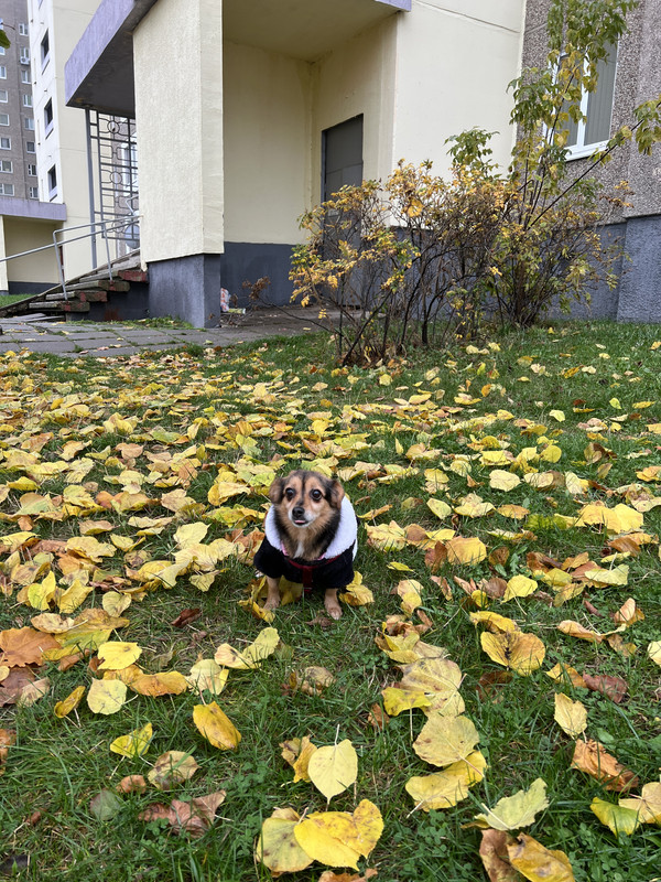 E3AAEB72-0BDA-4056-9953-237DD128BD51