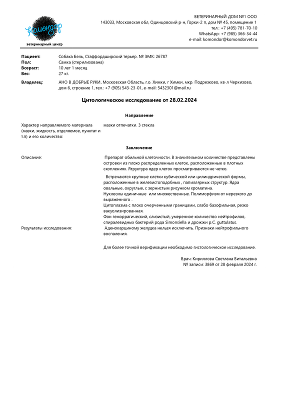 Цитологическое исследование от 28.02.2024 (Бель - АНО В ДОБРЫЕ РУКИ)