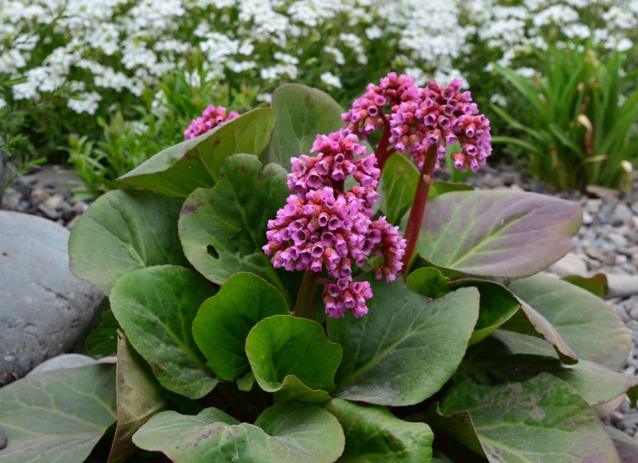 [Изображение: photo-2025-11-27-07-30-42.jpg]