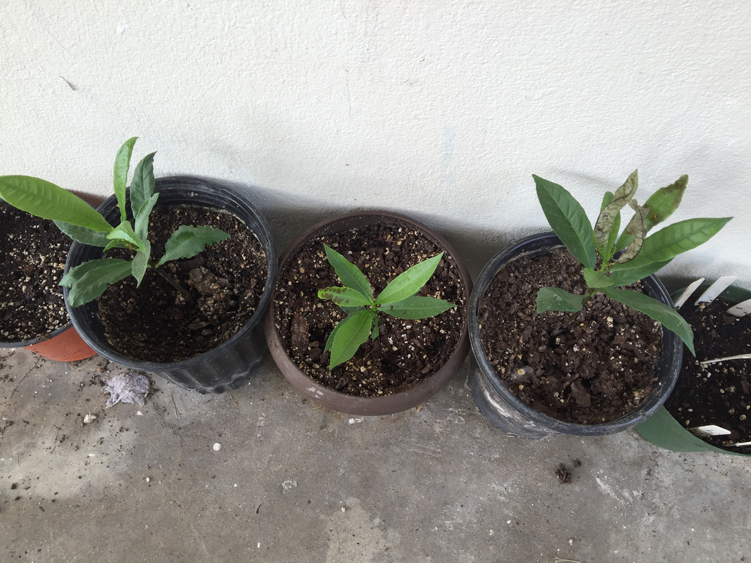 6B5C01C3-BF5E-4F84-A0CA-C6C510A9D6F9