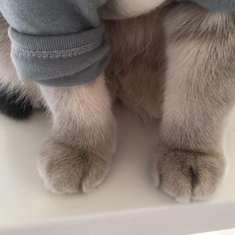 C36C0849-117B-467A-A4D7-A36907BFD2E9