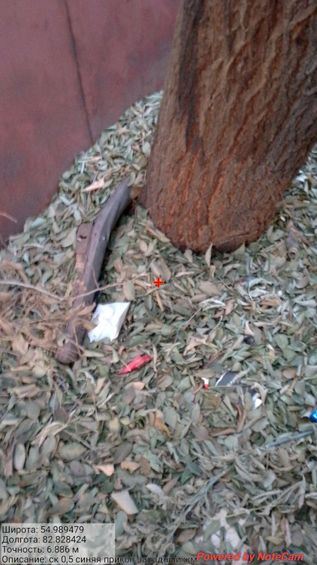 photo 12 2025 10 31 19 12 58