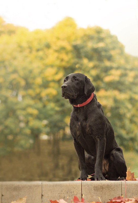 IMG-06b7db999a1e60df641345820842495b-V