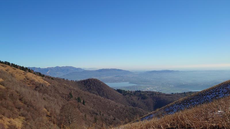 DSC-1660.jpg