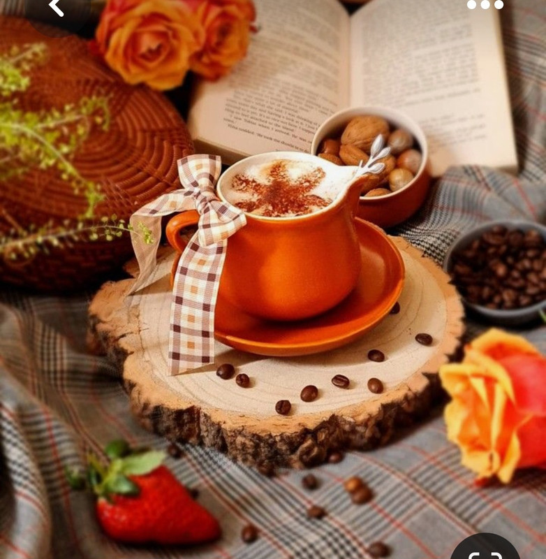 Screenshot_20230420_214925_Pinterest