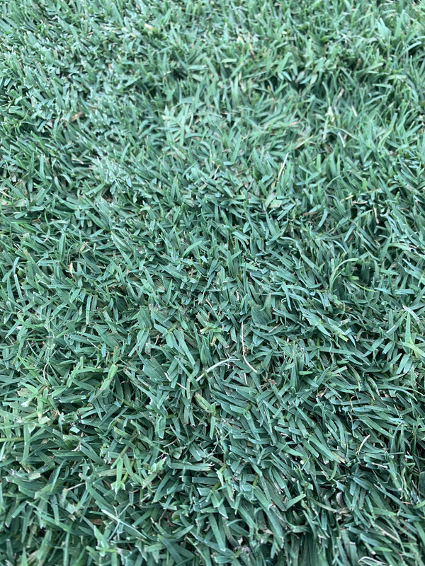 2152DD96-7392-4A9F-9E6A-AD344C107816