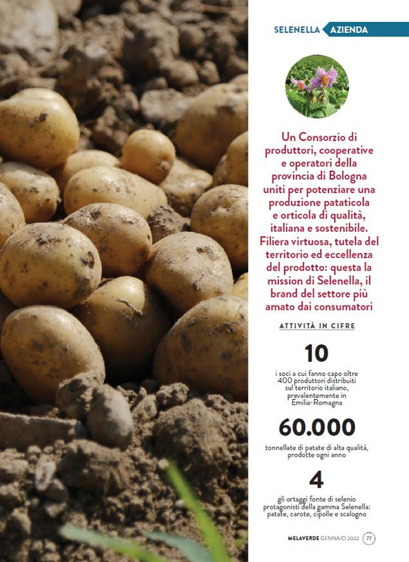 melaverde Gen 2022 (12)