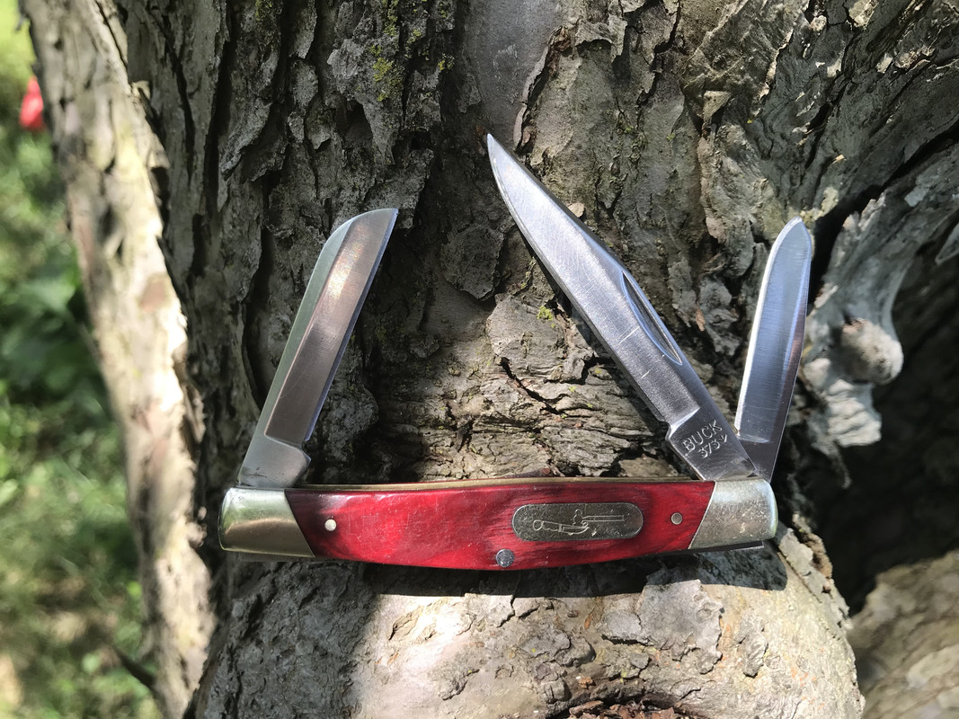 27BA91E3-1696-4EF6-B45E-7AA9A54EEC91