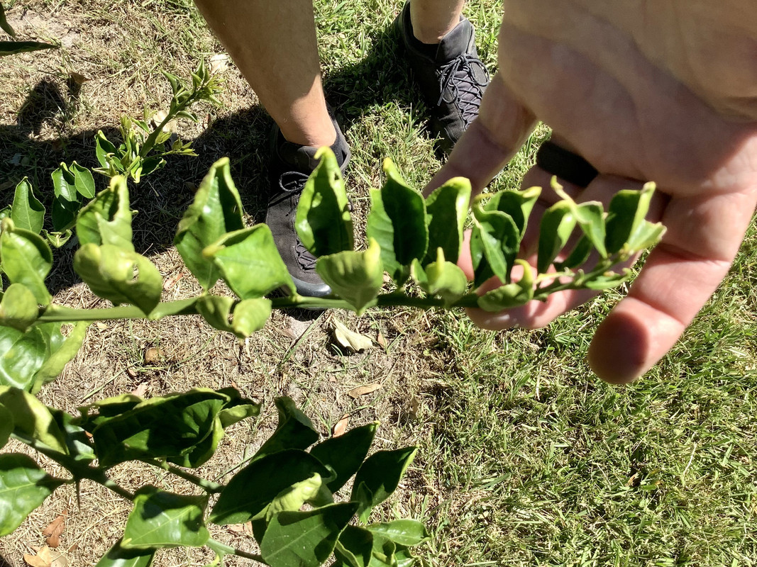 721C1232-109F-4A3D-AB28-B8DD6F28F615