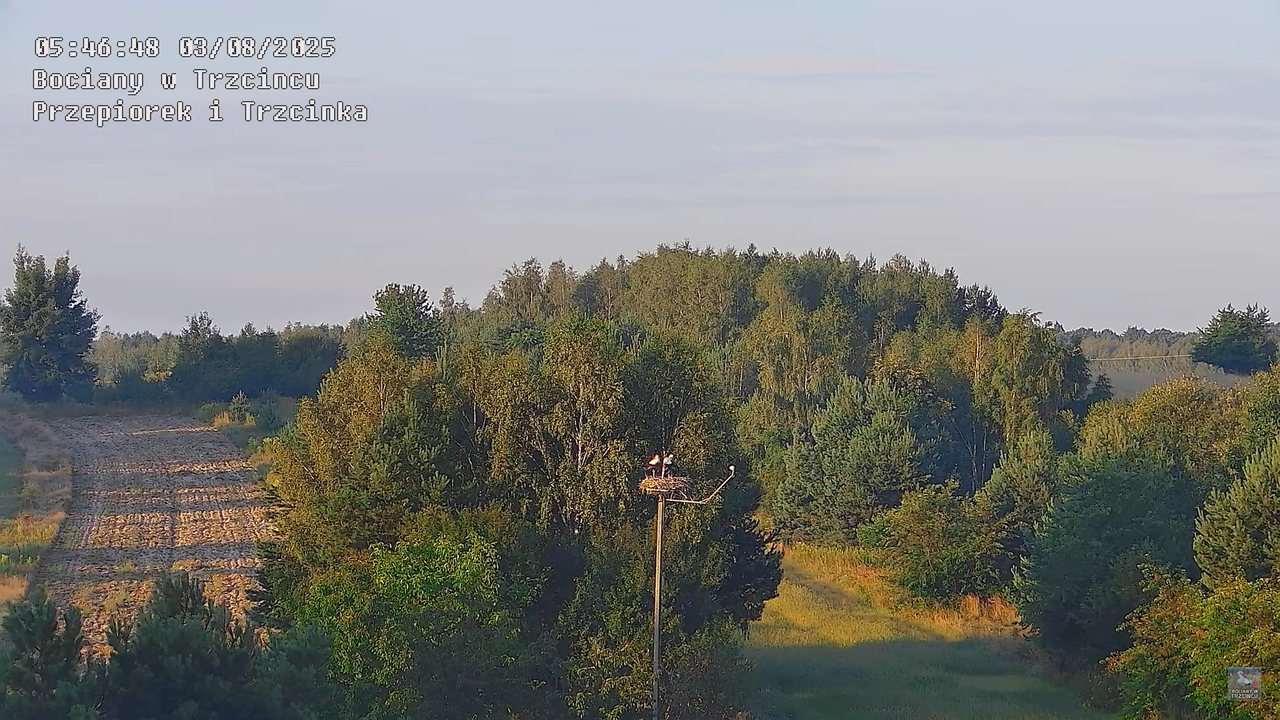 03082025bociany16