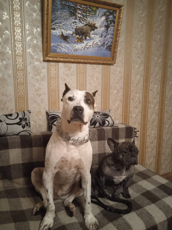 B65CDED5-E3C3-4F6B-A8F9-34488EE5AEC5