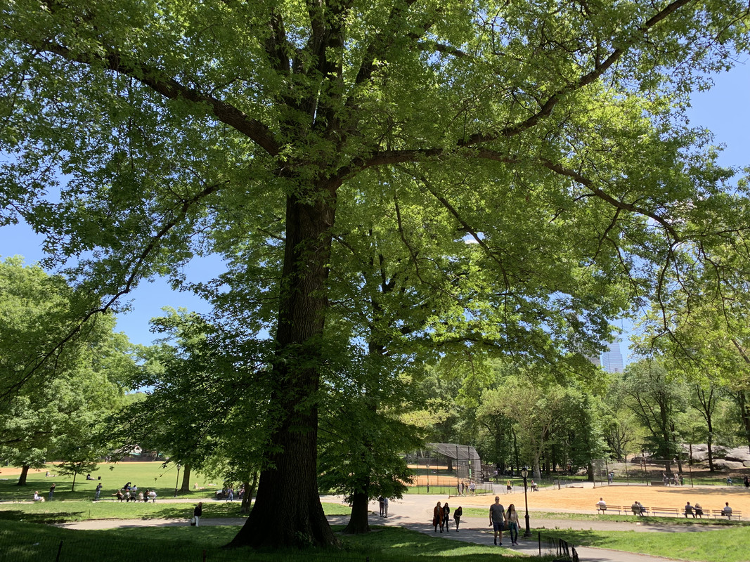 09572125-84D4-48B9-8EDA-EF3314B5B21B