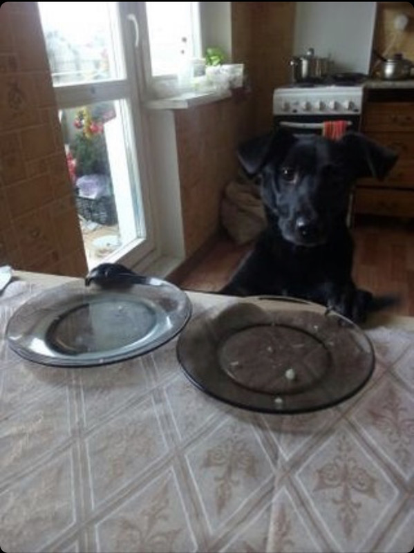 756D22F7-A50C-45D4-9B6A-21747D045A6B