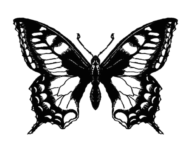 89ed78fd3759e1e794d6b8cc87581520-Photoroom (1)