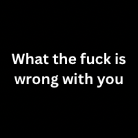 What the fuck is wrong with you