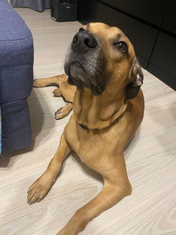 38C25F6E-1FA1-44E9-927E-177CC97573B4