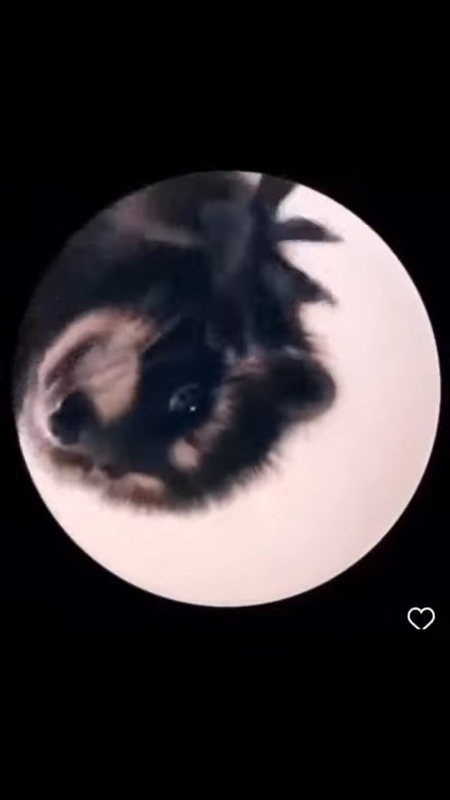 videoframe_4628