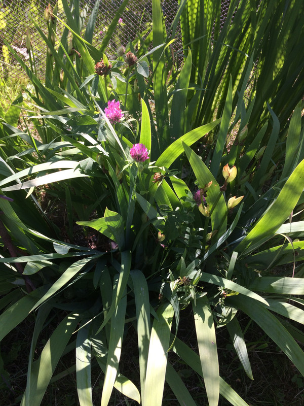 1409BAE9-338A-48E3-8FE3-D4F2771EFD70