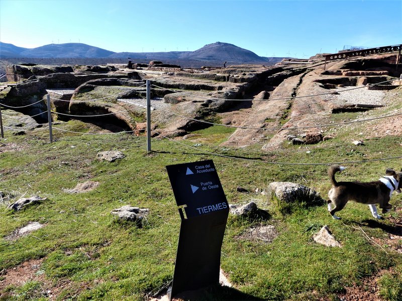 YACIMIENTO ARQUEOLOGICO DE TIERMES-16-2-2020 - Soria y sus pueblos-2010/2013/2020 (31)