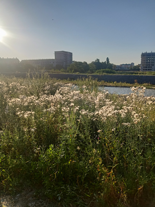 IMG20210717182223.jpg