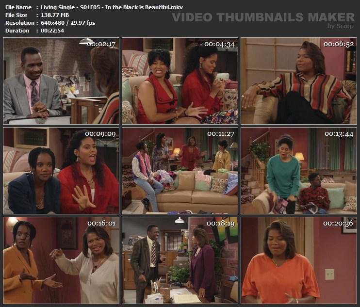 Living Single - S01E05 - In the Black is Beautiful.mkv