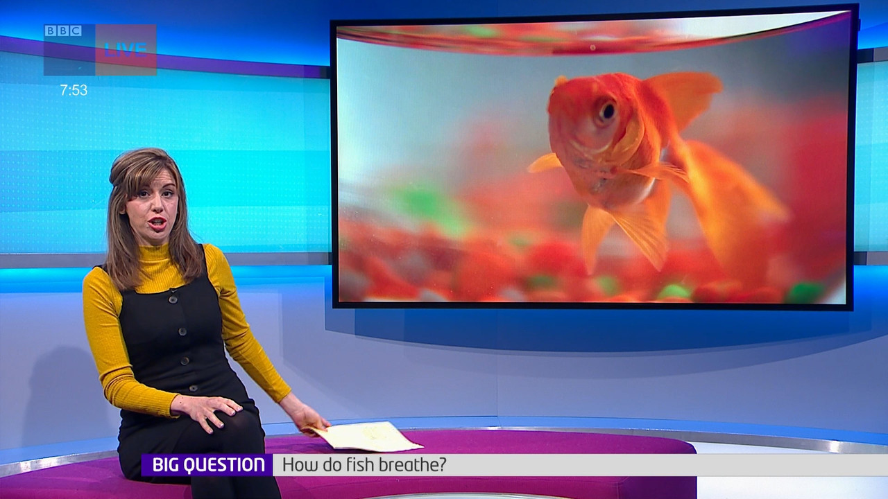 Newsround_20220419_07450755.ts_snapshot_09.20.114