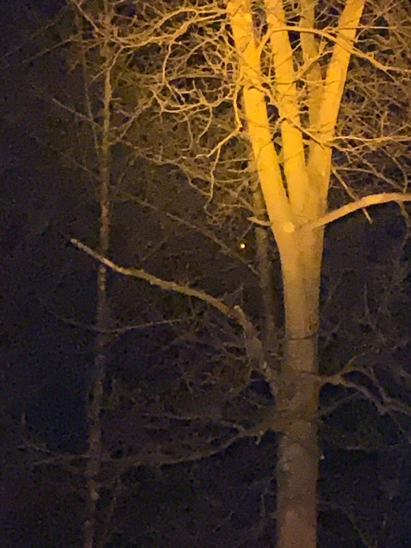 9B39F2F7-3F85-4C9E-BBA1-82784E027B7E