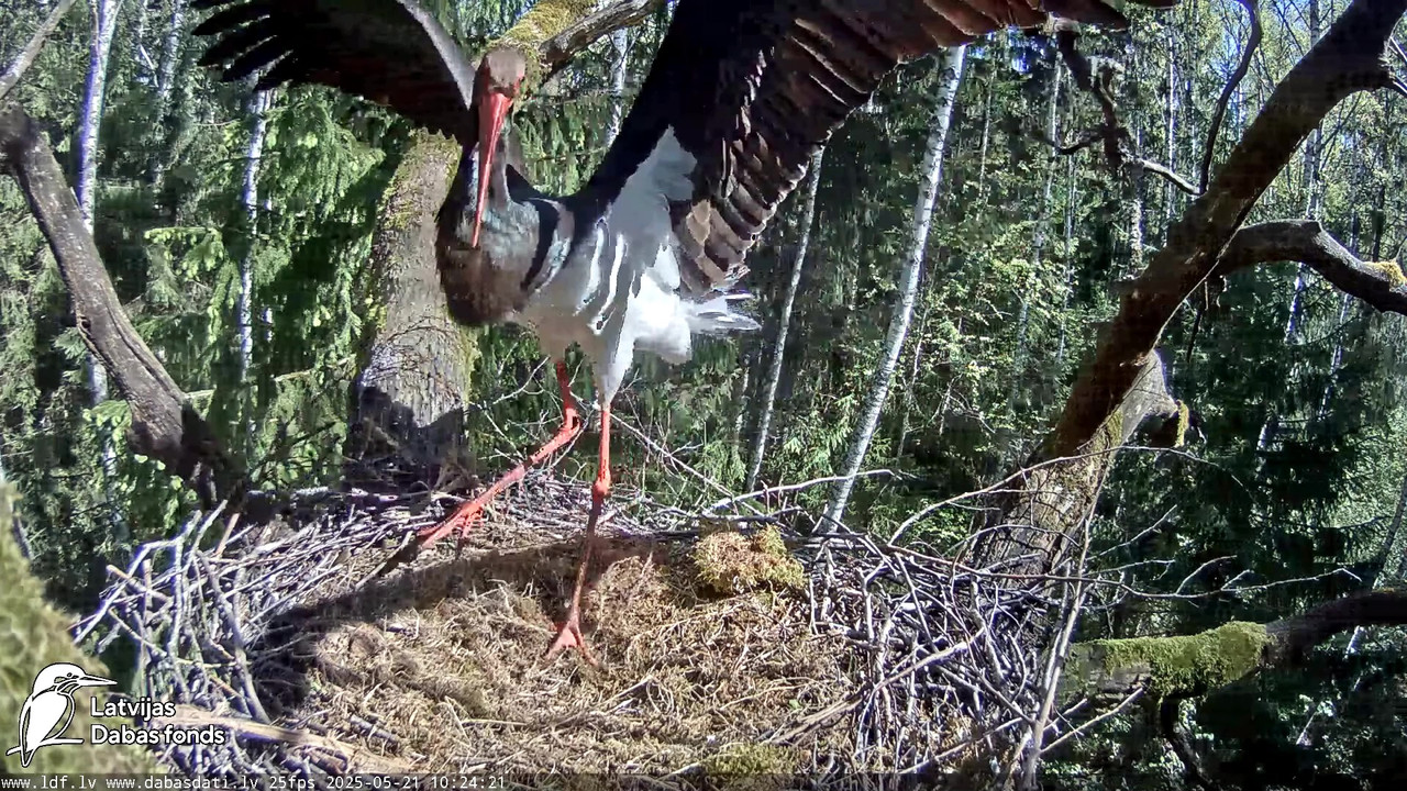 vlcsnap-2025-05-22-08h14m15s406