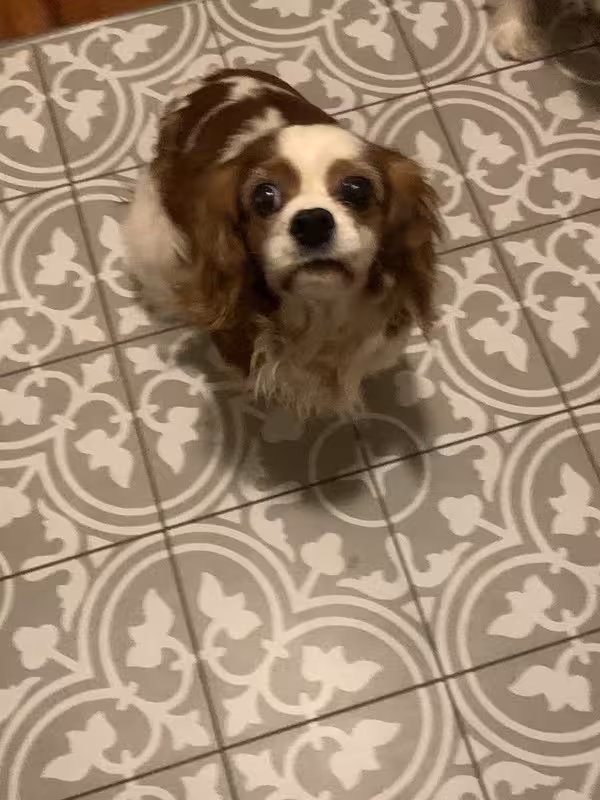 E16FAD02-ED73-4D38-A645-CC5671CFB3A9