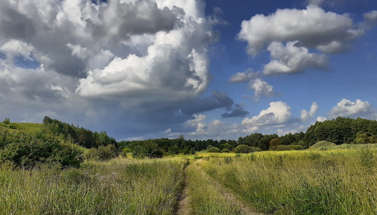 IMG_20210628_163740_DRO — копия (2) — копия