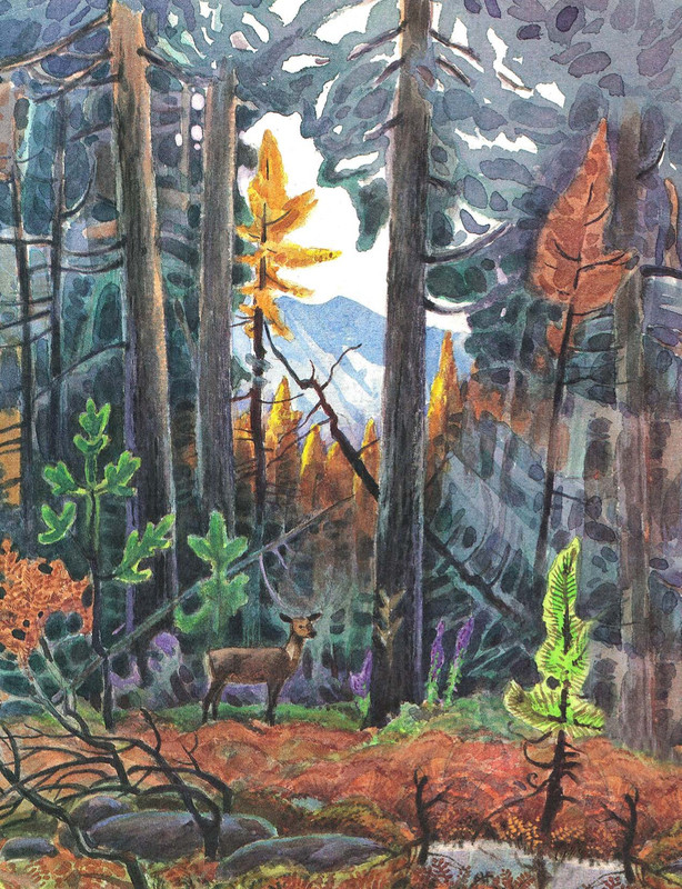 Adzhijev-Murad-Sibir-kotoruju-ja-videl-417093-01
