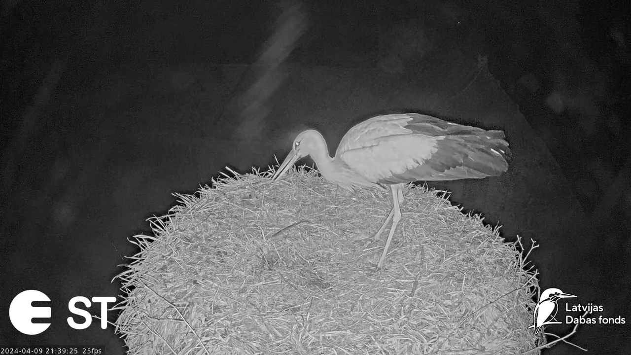 Ekrānuzņēmums 2024-04-09 214304