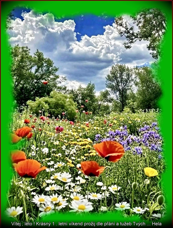 1.letníden2025úúúpr