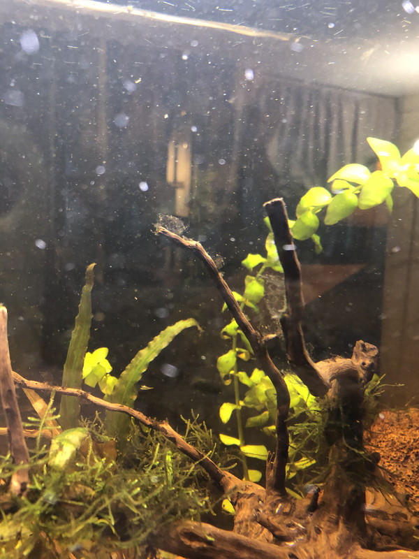 D3019746-8264-4D5E-B718-E37B194108F9