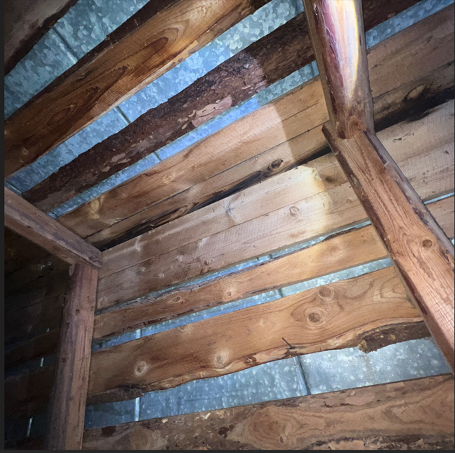 Näyttökuva 2025-03-24 182802