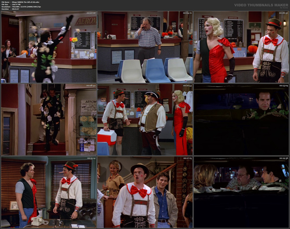 Wings S08E06 The Gift of Life.mkv