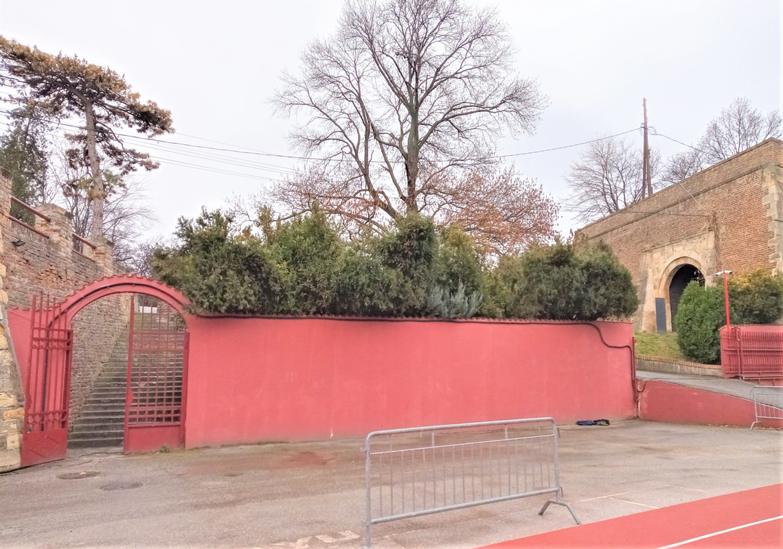 20200203_154448_HDR(1)