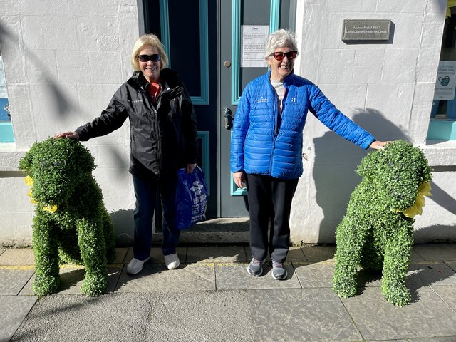 [Linked Image from i.postimg.cc]